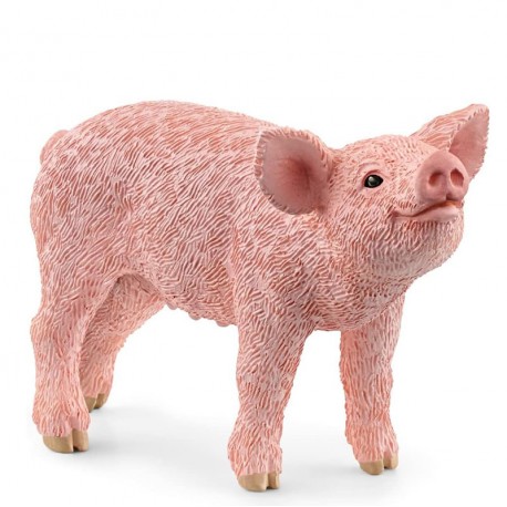 FIGURA CERDITO