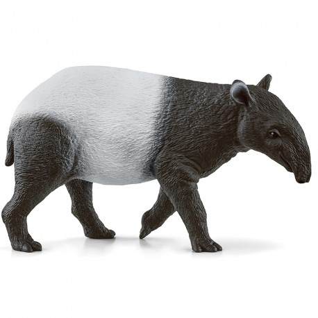 TAPIR