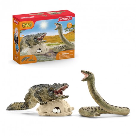 SET ANACONDA Y CAIMAN